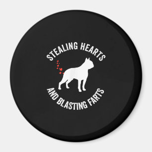 Heilung und Strahlen von Furzen Boston Terrier Magnet