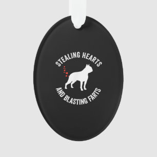 Heilung und Strahlen von Furzen Boston Terrier Ornament