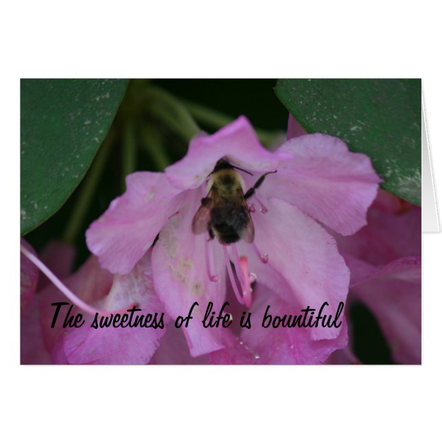 Heilungskarten (Vorderseite (Horizontal))