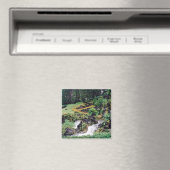 Heilwasser Magnet (In Situ (Geschirrspüler))