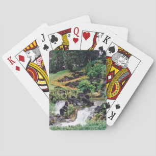 Heilwasser Spielkarten
