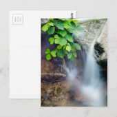 Heilwasserstrom Postkarte (Vorne/Hinten)