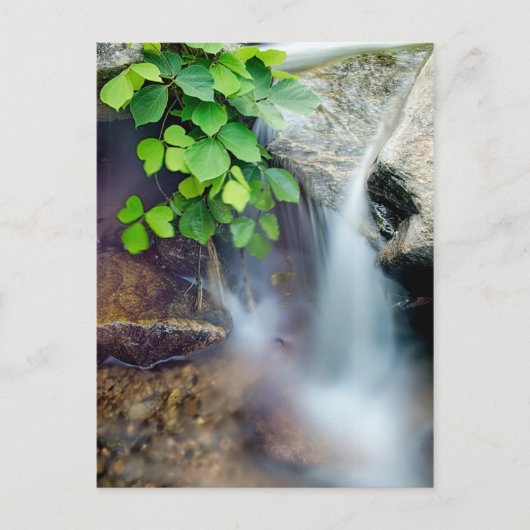 Heilwasserstrom Postkarte (Vorderseite)