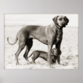 heimat poster (Vorne)