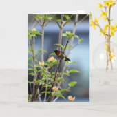 HEIMBIRD AUF DOGWOOD BAUM KARTE (Gelbe Blume)