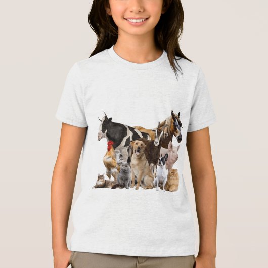 Heimer Ribbon Heimer Krankheitsbewusstsein Premium Tri-Blend Shirt (Vorderseite)