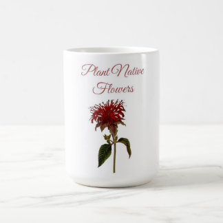 Heimische Monarda-Pflanzenblumen Kaffeetasse