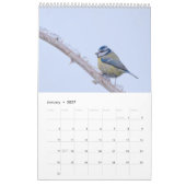 Heimische Vögel Kalender (Jan 2027)