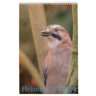 Heimische Vögel Kalender