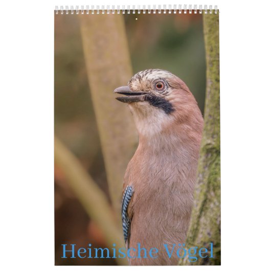 Heimische Vögel Kalender (Titelbild)