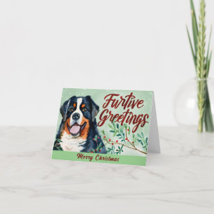 Heimliche Grüße: Berner Sennenhund Weihnachten