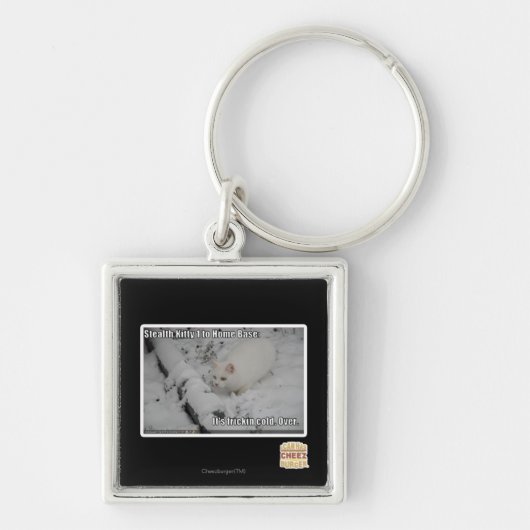 Heimlichkeits-Miezekatze 1 Schlüsselanhänger (Vorne)