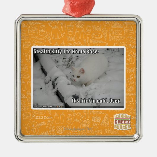 Heimlichkeits-Miezekatze 1 Silbernes Ornament (Vorne)