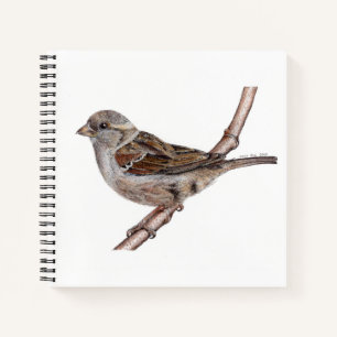 Heimsparkebird (Passer Domesticus) Notebook Notizblock