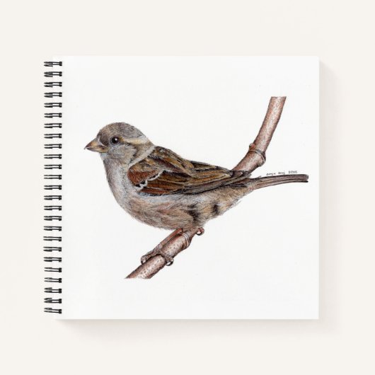 Heimsparkebird (Passer Domesticus) Notebook Notizblock (Vorderseite)