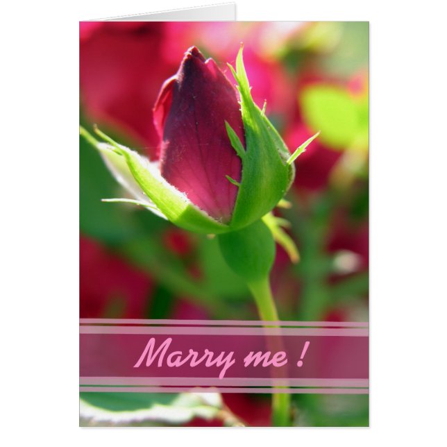 Heirate mich rote Rose (Vorne)