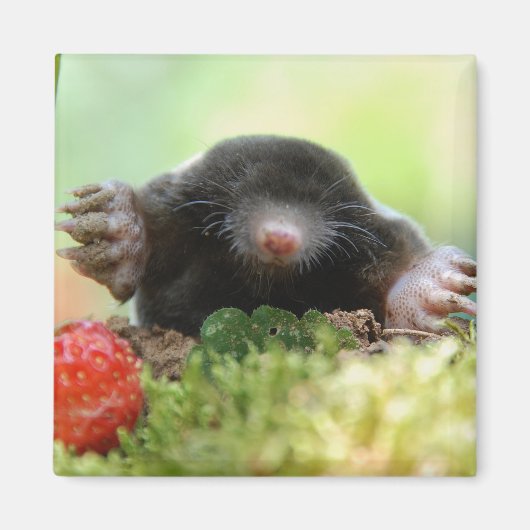 "Heiraten Sie mich?" Magnet (Vorne)
