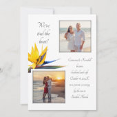 Heiratsankündigung Bird-of-paradise 2 Fotos Einladung (Vorderseite)