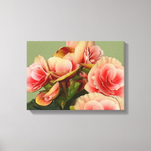 Heirloom Begonias 2 Leinwanddruck (Vorderseite)