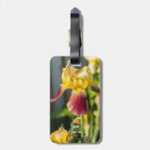 Heirloom Iris Gepäckanhänger (Rückseite vertikal)