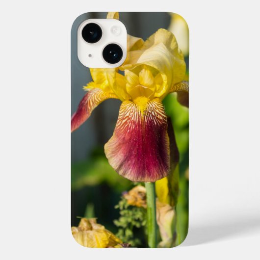 Heirloom Iris iPhone Case (Rückseite)