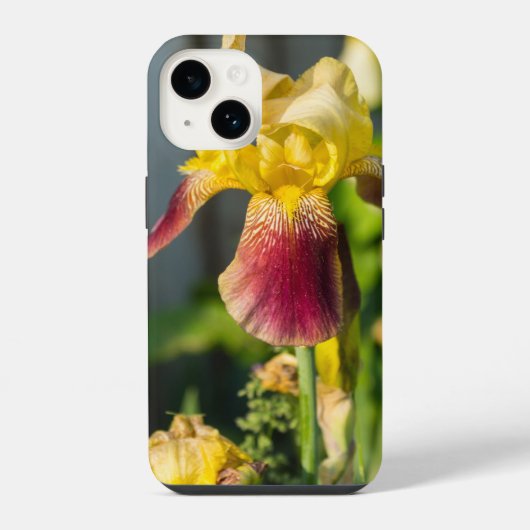 Heirloom Iris iPhone Case Hülle (Rückseite)