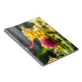 Heirloom Iris Notizblock (Rechte Seite)