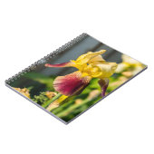 Heirloom Iris Notizblock (Linke Seite)