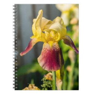 Heirloom Iris Notizblock