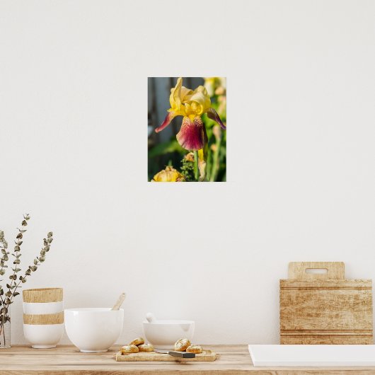 Heirloom Iris Poster (Küche)