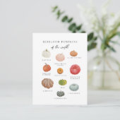 Heirloom Pumpkins Fall Postkarte (Stehend Vorderseite)