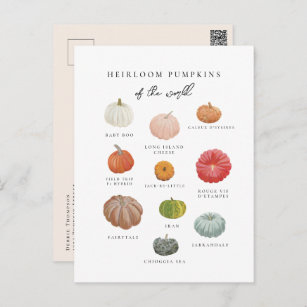 Heirloom Pumpkins Fall Postkarte