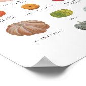 Heirloom Pumpkins Kunstdrucken Poster (Ecke)