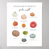Heirloom Pumpkins Kunstdrucken Poster (Vorne)