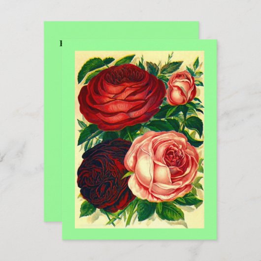 HEIRLOOM ROSE ~ HÜBSCHE GRADUATION PARTEIEN ERSUCH EINLADUNG (Vorne/Hinten)