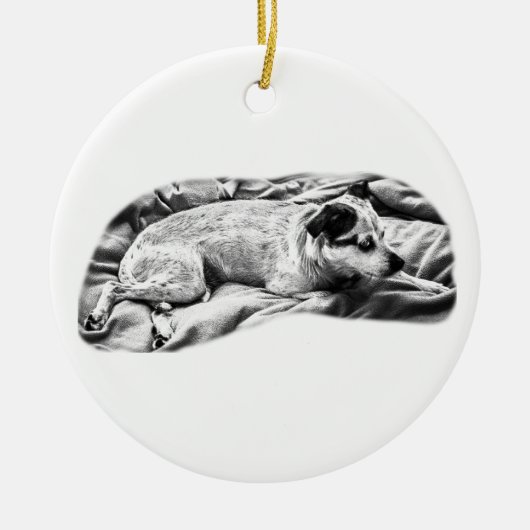 Heirloom Terrier, Ruhen und Bereit Keramik Ornament (Vorne)