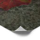 Heirloom Tomaten Poster (Ecke)