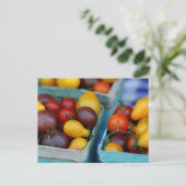 Heirloom Tomaten Postkarte (Stehend Vorderseite)