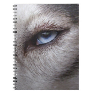 Heisere Augen-Notizbuch-Husky-Geschenke u. Bücher