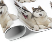 Heisere Hunde Geschenkpapier (Rolleneckpunkt)