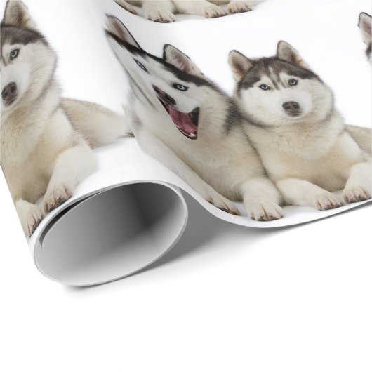 Heisere Hunde Geschenkpapier (Rolleneckpunkt)
