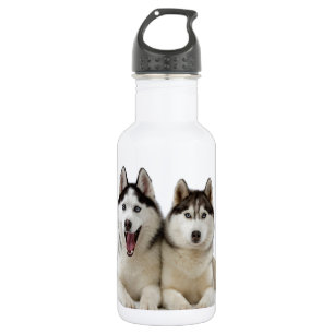 Heisere Hunde Trinkflasche