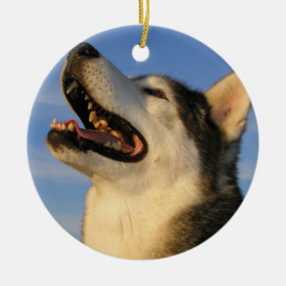 Heisere Verzierung Keramik Ornament