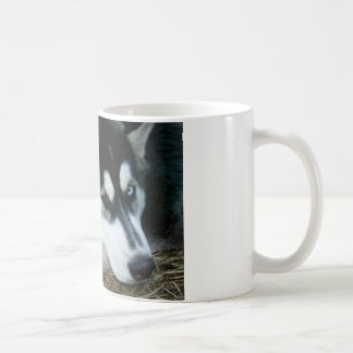 Heiserer Hund Kaffeetasse