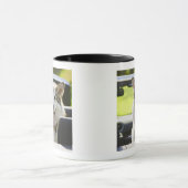 Heiserer Hund vom Kabriolett Tasse (Zentrum)