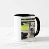 Heiserer Hund vom Kabriolett Tasse (VorderseiteRechts)