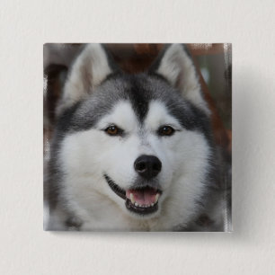 Heiserer Hundequadrat-Knopf Button