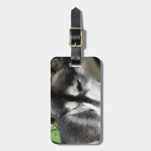 Heiserer Profil-Gepäckanhänger Gepäckanhänger (Vorderseite vertikal)