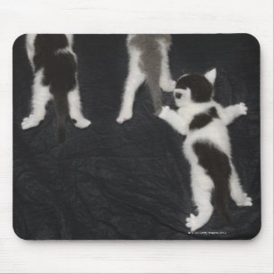 Heiserer Welpe Mousepad