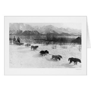 Heiseres Hundeteam Alaska 1918